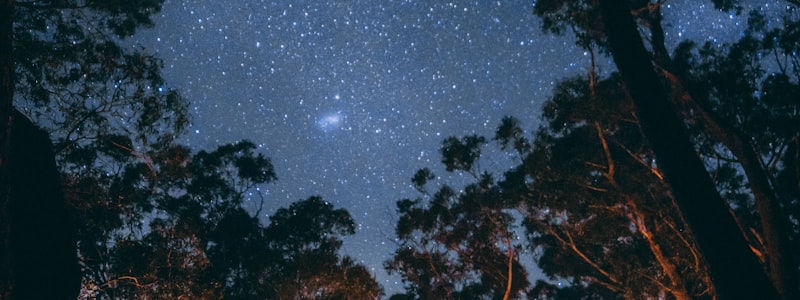 荒野露营体验轻量化装备套装展示